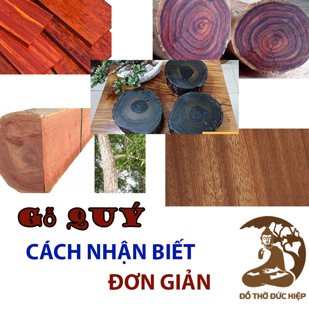 Cách nhận biết các loại gỗ quý CHÍNH XÁC nhất, ĐƠN GIẢN nhất