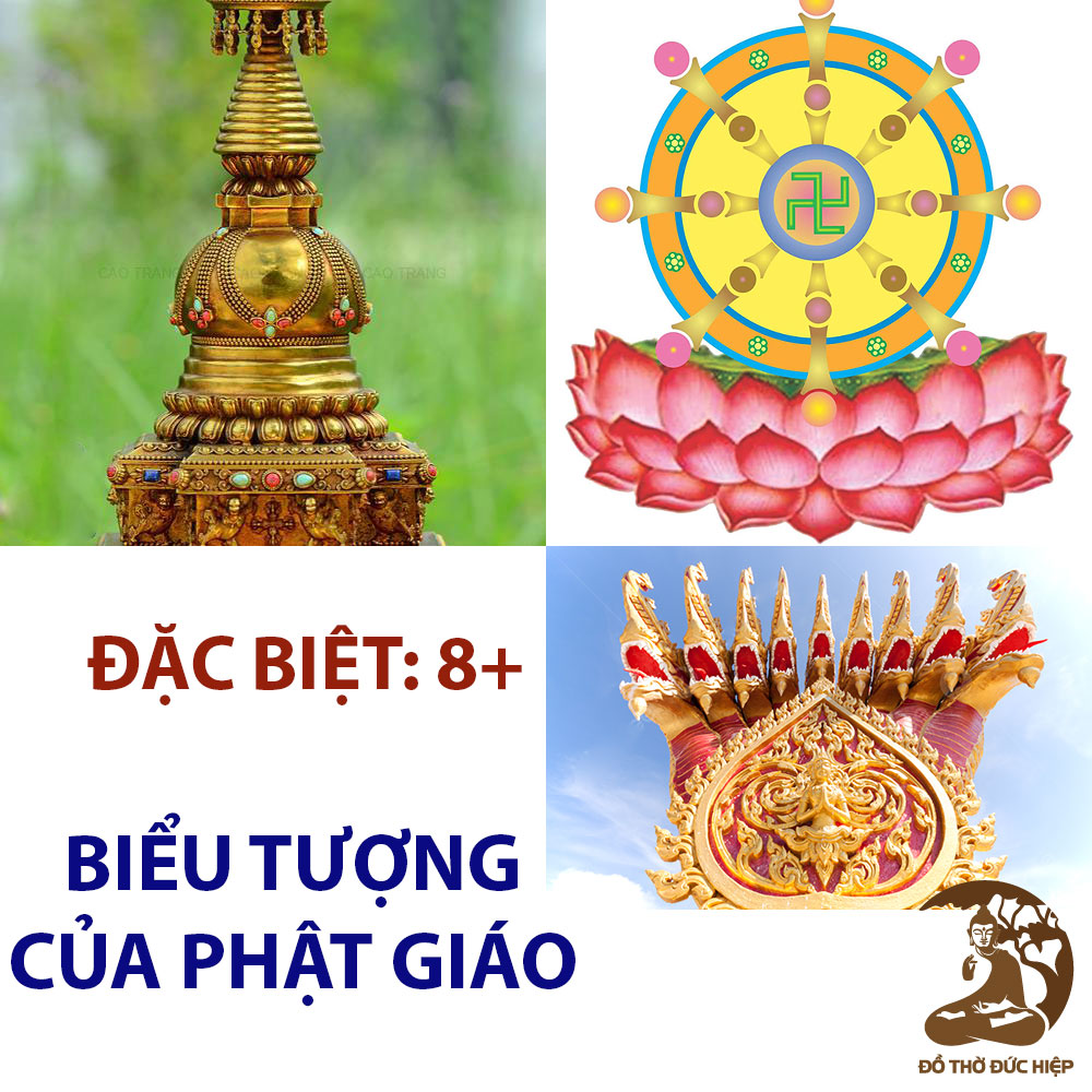 8+ Biểu Tượng của Phật giáo (Đặc Biệt)