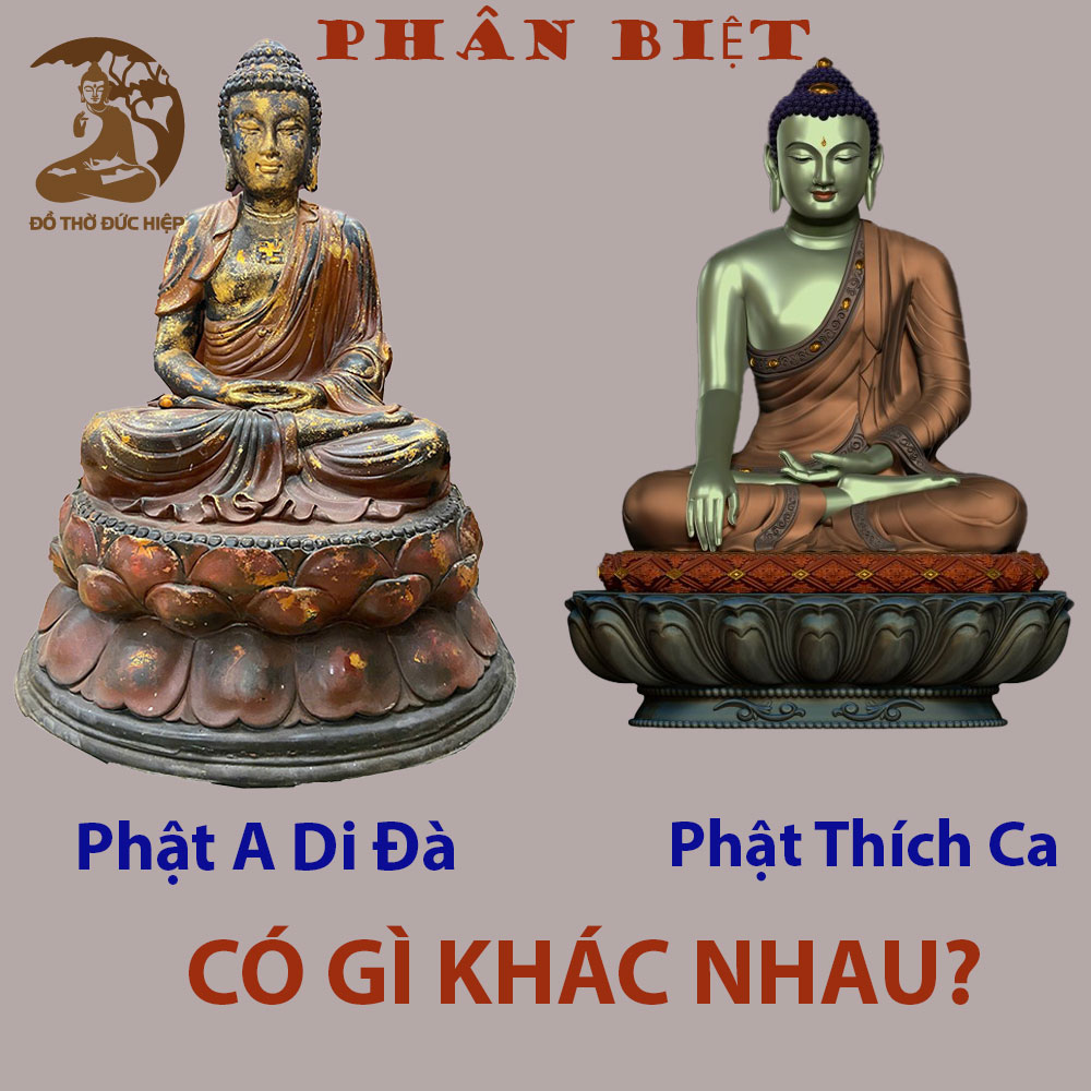 Phật A Di Đà khác Phật Thích Ca như thế nào?